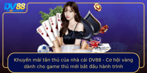 Khuyen Mai Tan Thu Cua Nha Cai Dv88 Co Hoi Vang Danh Cho Game Thu Moi Bat Au Hanh Trinh